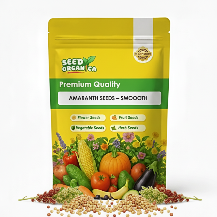 Amaranth Seeds – Smooth