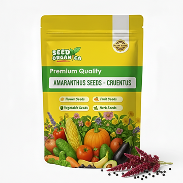 Amaranthus Seeds - Cruentus