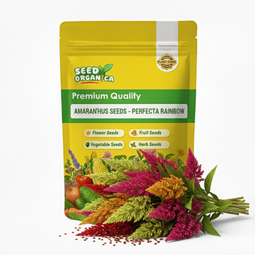 Amaranthus Seeds - Perfecta Rainbow