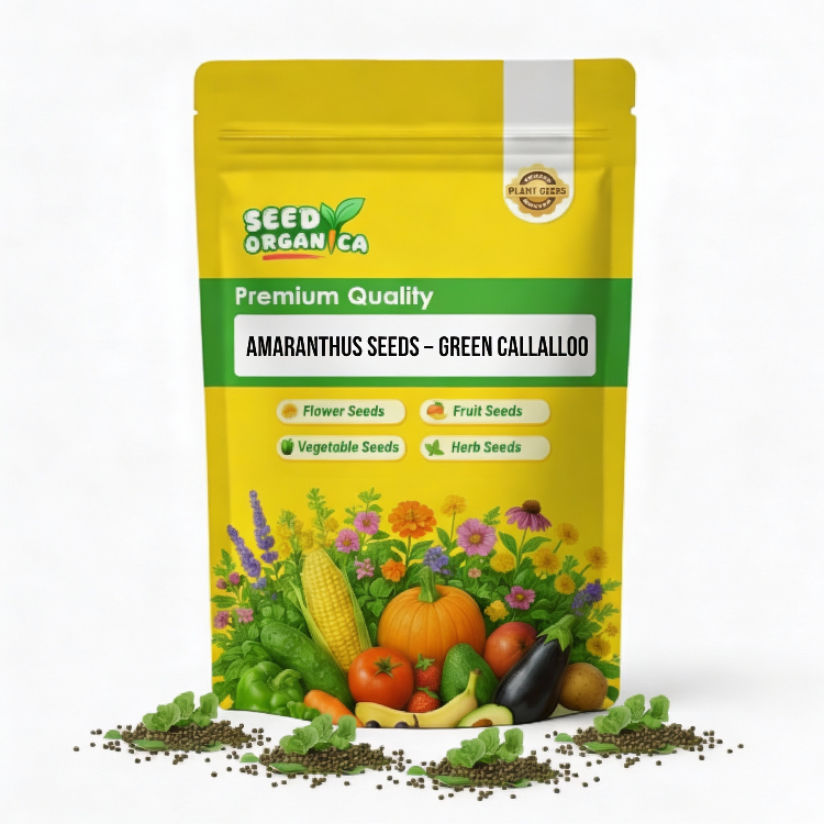 Amaranthus Seeds – Green Callaloo