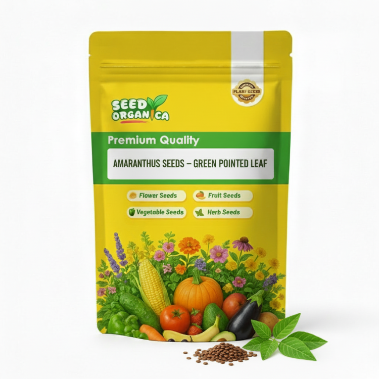 Amaranthus Seeds – Green Pointed Leaf