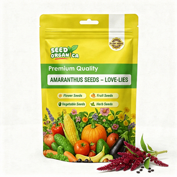 Amaranthus Seeds – Love-Lies