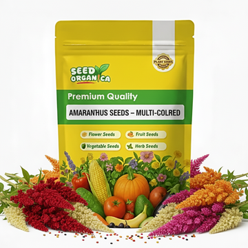 Amaranthus Seeds –  Multi-Colored