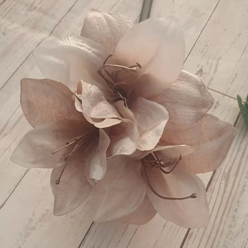 Amaryllis Seeds – Ash