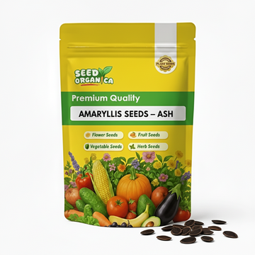 Amaryllis Seeds – Ash