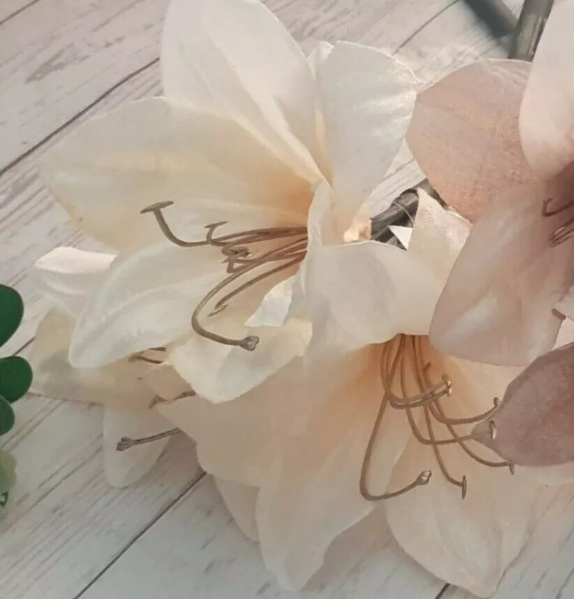 Amaryllis Seeds – Ash