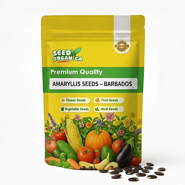 Amaryllis Seeds – Barbados