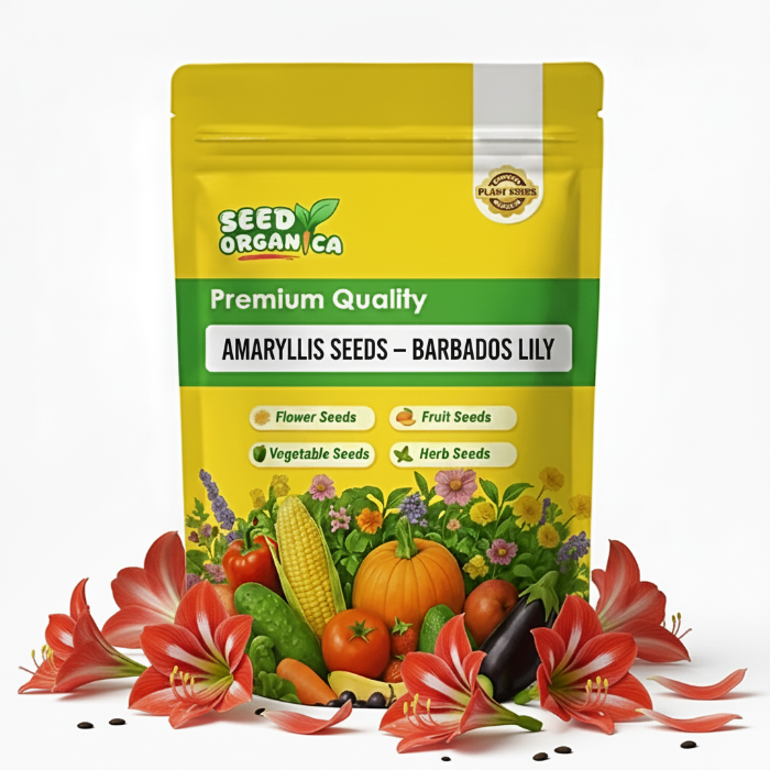 Amaryllis Seeds – Barbados Lily