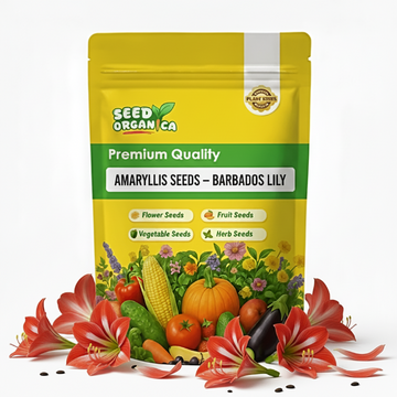 Amaryllis Seeds – Barbados Lily
