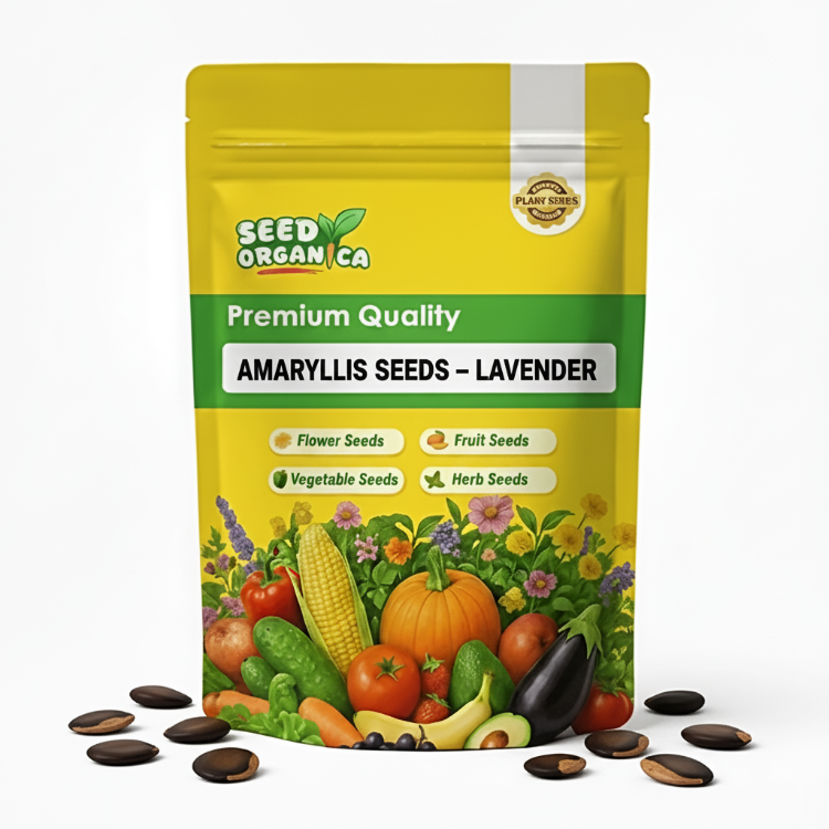 Amaryllis Seeds – Lavender