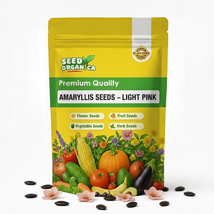 Amaryllis Seeds – Light Pink