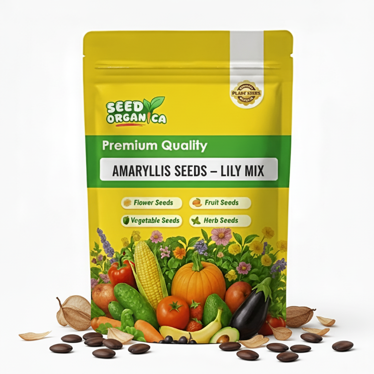 Amaryllis Seeds – Lily Mix