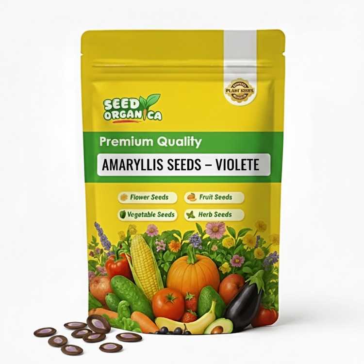 Amaryllis Seeds – Violet