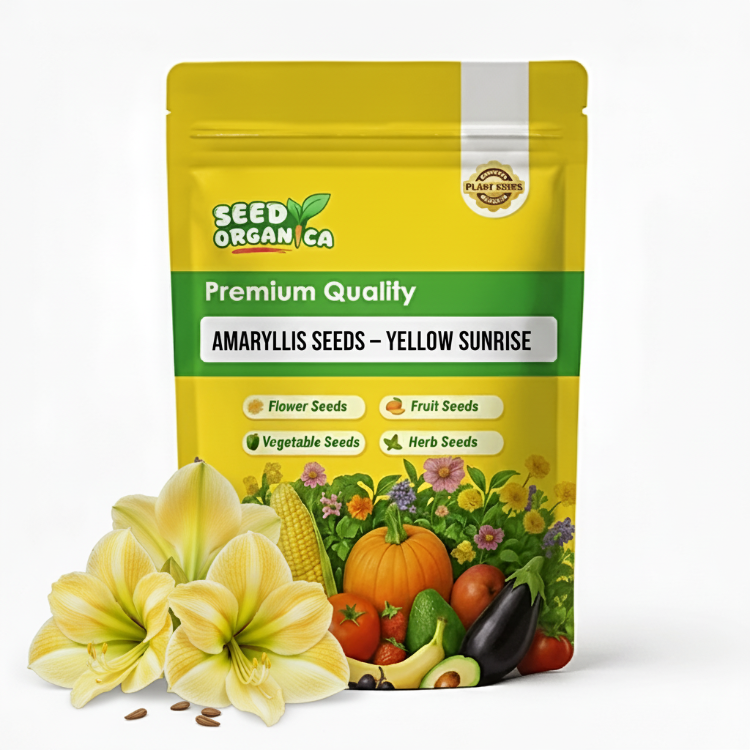 Amaryllis Seeds – Yellow Sunrise