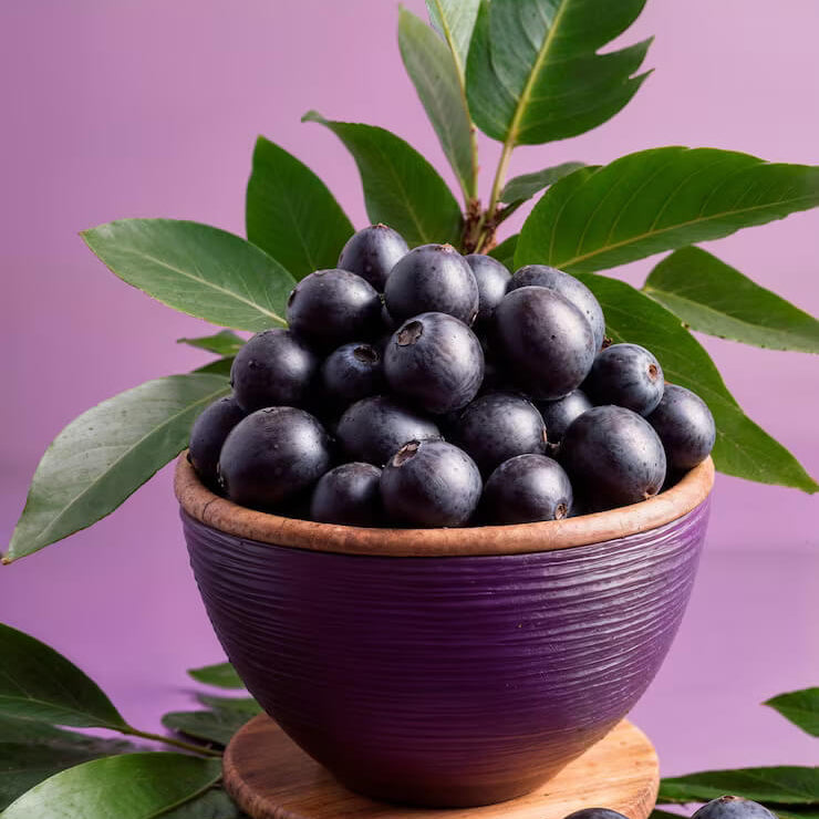Amazon Palm Seeds - Fruit Plant