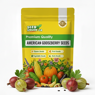 American Gooseberry Seeds