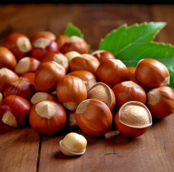 American Hazelnut Seeds