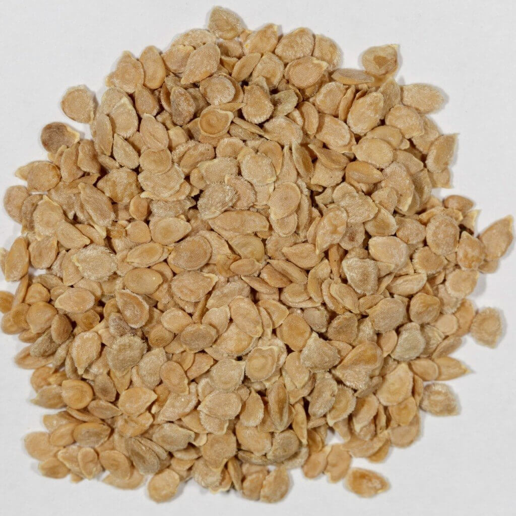 Amish Paste Tomato Seeds