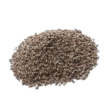 Ammi Majus Seeds 