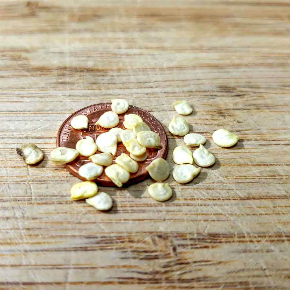 Anaheim Pepper Seeds 
