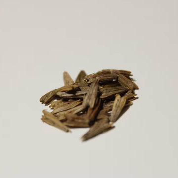 Anamu Seeds 