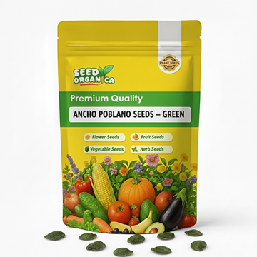 Ancho Poblano Seeds – Green