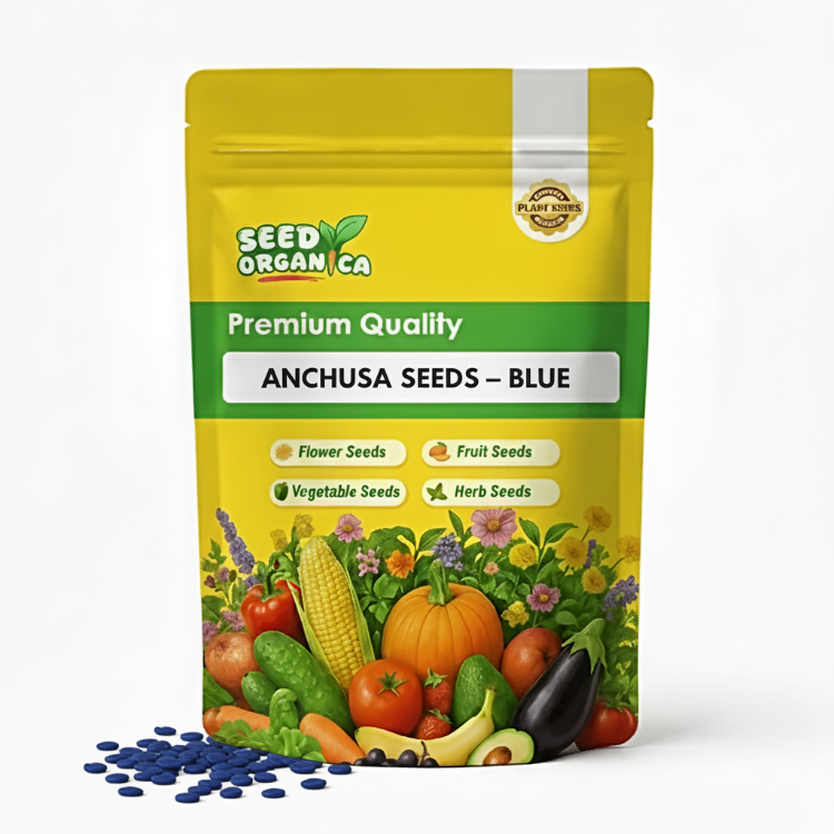 Anchusa Seeds – Blue