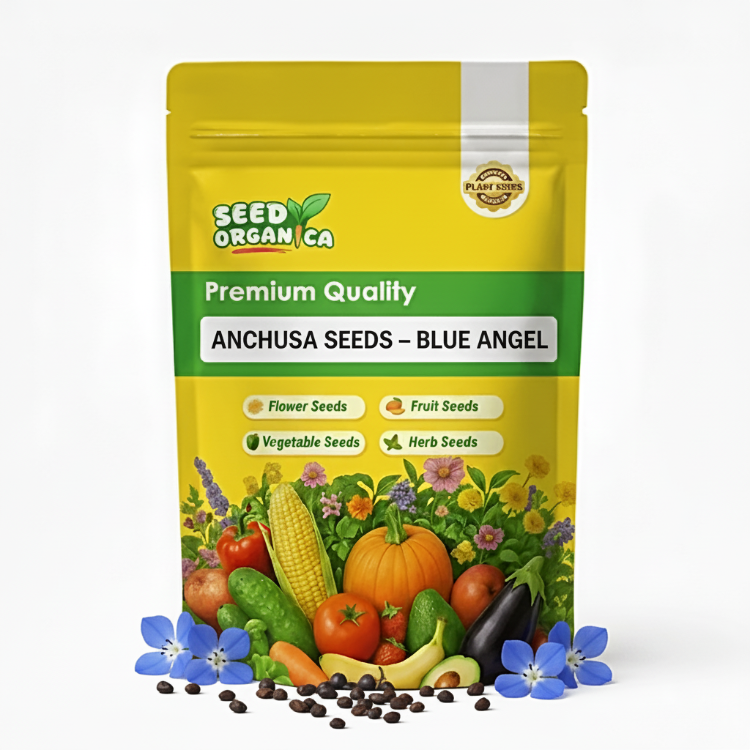 Anchusa Seeds – Blue Angel