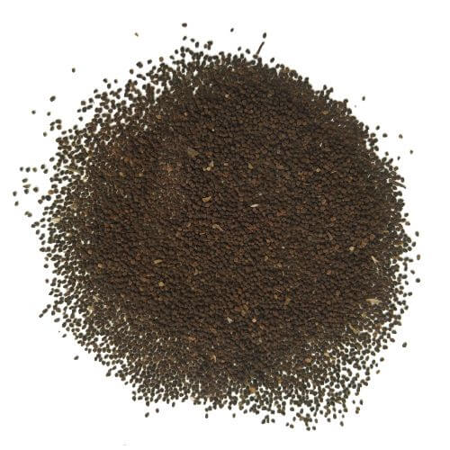 Andraeanum Heirloom Anthurium Seeds