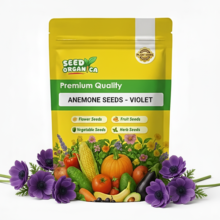 Anemone Seeds – Violet