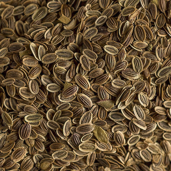 Anethum Graveolens Dill Seeds 