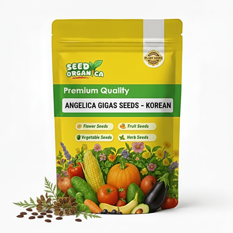 Angelica Gigas Seeds – Korean