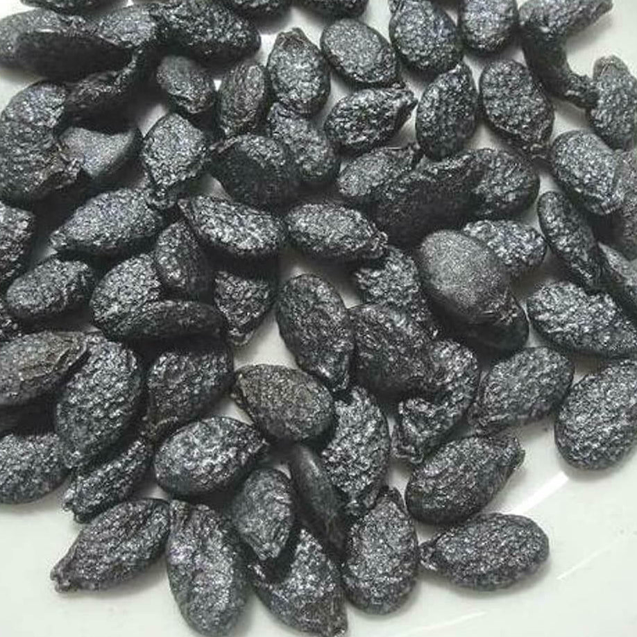 Angled Muop Khia Luffa Seeds