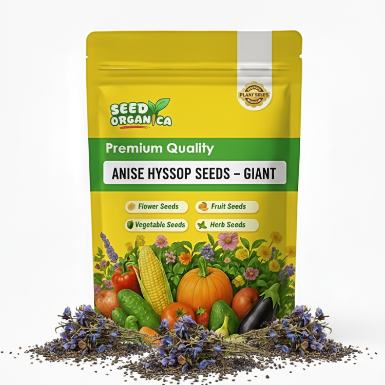 Anise Hyssop Seeds – Giant