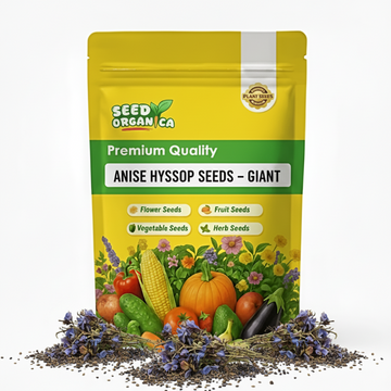Anise Hyssop Seeds – Giant