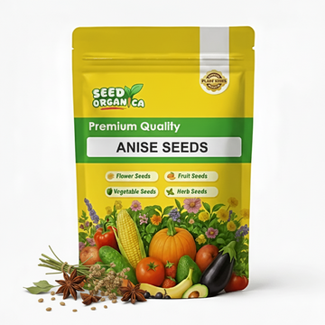 Anise Seeds