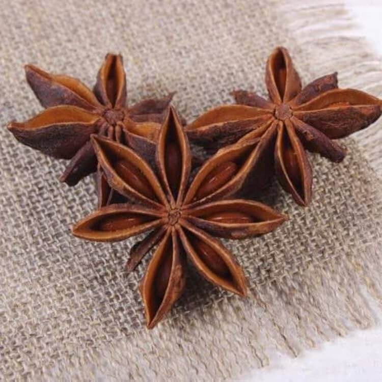 Anise Seeds – Myrrhis odorata