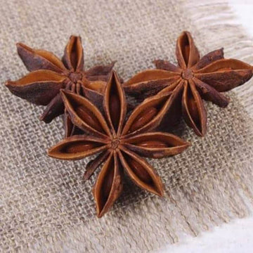 Anise Seeds – Myrrhis odorata