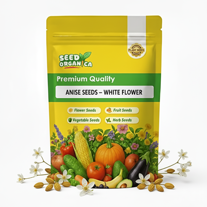 Anise Seeds – White Flower