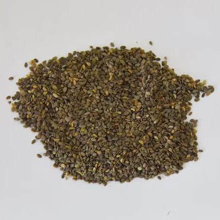 Annual Periwinkle Seeds 