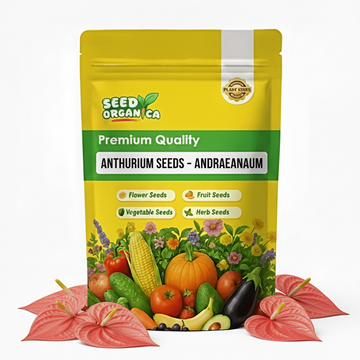 Anthurium Seeds – Andraeanum