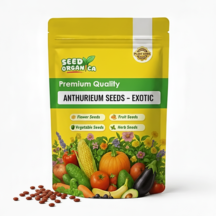 Anthurium Seeds – Exotic
