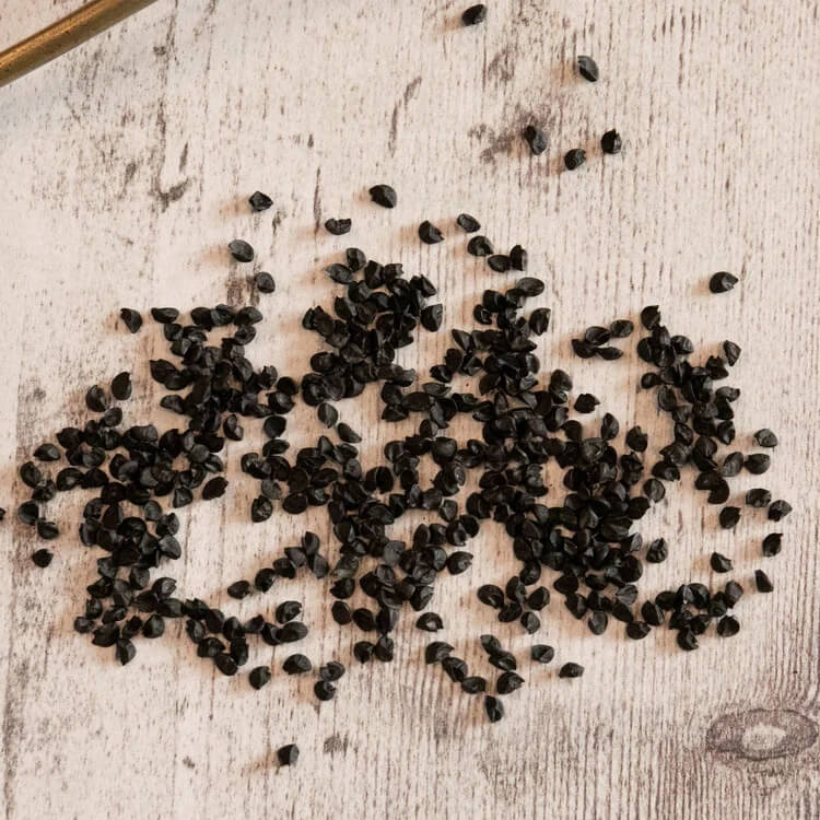 Apache Onion Seeds
