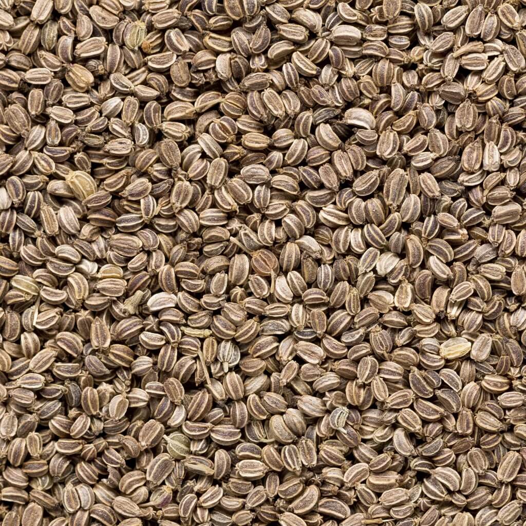 Apium graveolens Celery Seeds 