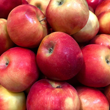 Apple Seeds – Esopus Spitzenburg