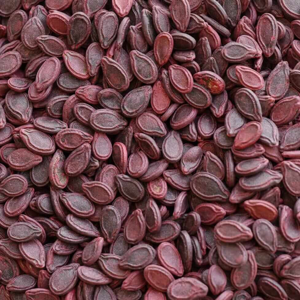 Apple Gourd Seeds