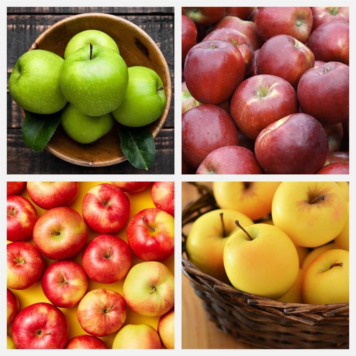 Apple Seeds – Mixed
