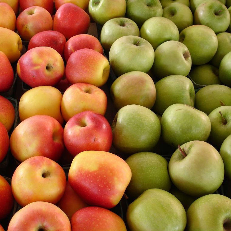 Apple Seeds – Mixed