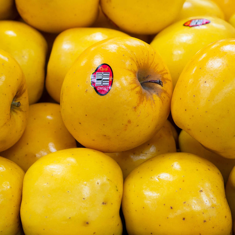 Apple Seeds – Opal Yellow