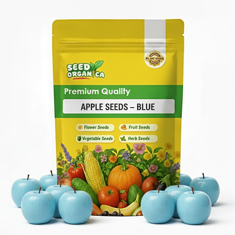 Apple Seeds – Blue